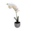 25cm White Orchid Artificial Plant In Grey Ceramic Pot