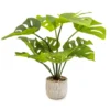 50cm Cheese Plant Artificial Plant In Grey Ceramic Pot