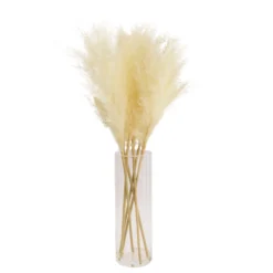 64cm White Pampas Grass Artificial Plant In Clear Glass Vase