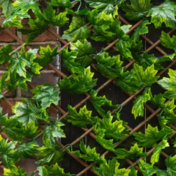 Apollo Maple Leaf Willow Trellis Panel (W)200cm X (H)100cm -Bestway Garden Sales Store apollo maple leaf willow trellis panel w 200cm x h 100cm5037653779309 02i bq