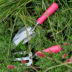 Burgon & Ball Pink Hand Fork -Bestway Garden Sales Store burgon ball pink hand fork5019360013143 02i bq