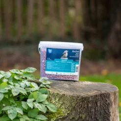 CJ Wildlife Peanuts 3kg -Bestway Garden Sales Store cj wildlife peanuts 3kg5051054259192 01i