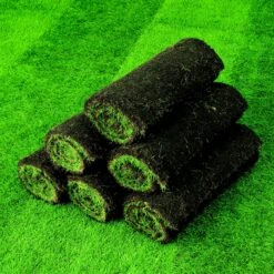 Lawn Turf, 50m² Pack -Bestway Garden Sales Store lawn turf 50m pack3663602195108 04i