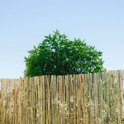 Natural Reed Garden Screen (H)1m (W)3m 10 Natural Reed Garden Screen (H)1m (W)3m -Bestway Garden Sales Store natural reed garden screen h 1m w 3m3663602428046 02i