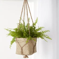 Natural Seagrass Herringbone Round Plant Pot (Dia)20.5cm -Bestway Garden Sales Store natural seagrass herringbone round plant pot dia 20 5cm3663602442479 06i bq