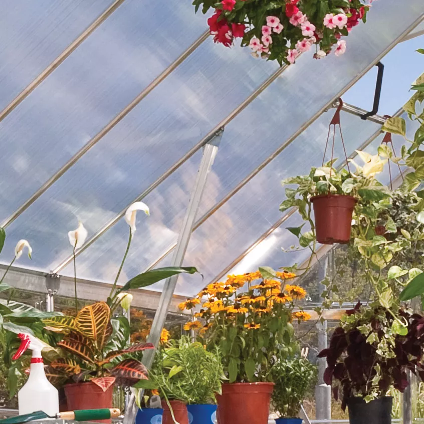 Palram Balance Silver 8x12 Greenhouse 4 Palram Balance Silver 8x12 Greenhouse - Image 4