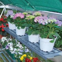 Palram - Canopia 1 Tier Greenhouse Shelving -Bestway Garden Sales Store palram canopia 1 tier greenhouse shelving7290010027255 02i BQ