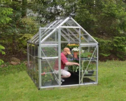 Palram - Canopia Harmony Silver 6x8 Greenhouse -Bestway Garden Sales Store palram canopia harmony silver 6x8 greenhouse7290103110581 05i