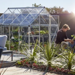 Palram - Canopia Harmony Silver 6x8 Greenhouse -Bestway Garden Sales Store palram canopia harmony silver 6x8 greenhouse7290103110581 07i