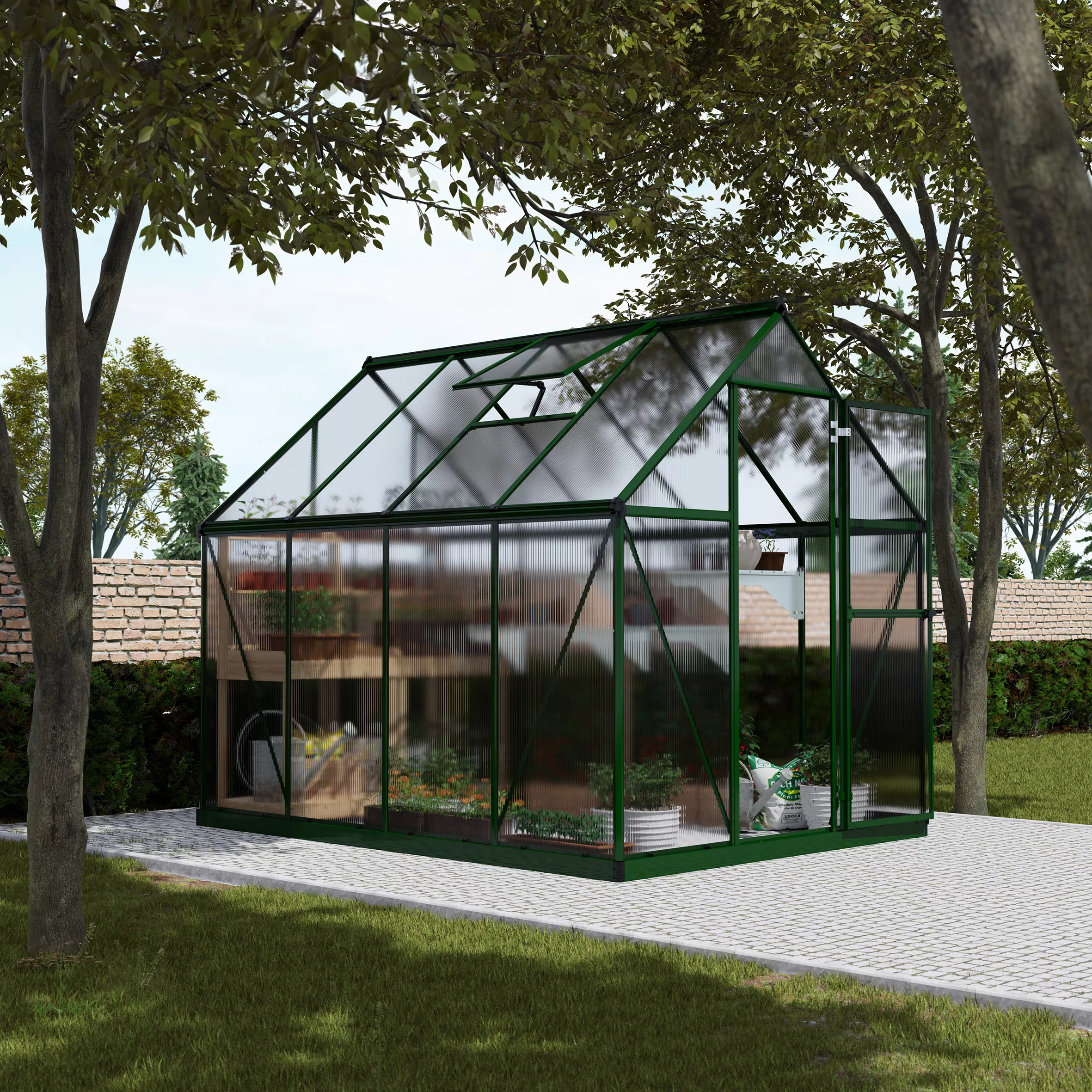 Palram - Canopia Mythos Green 6X8 Greenhouse 6 Palram - Canopia Mythos Green 6X8 Greenhouse - Image 6
