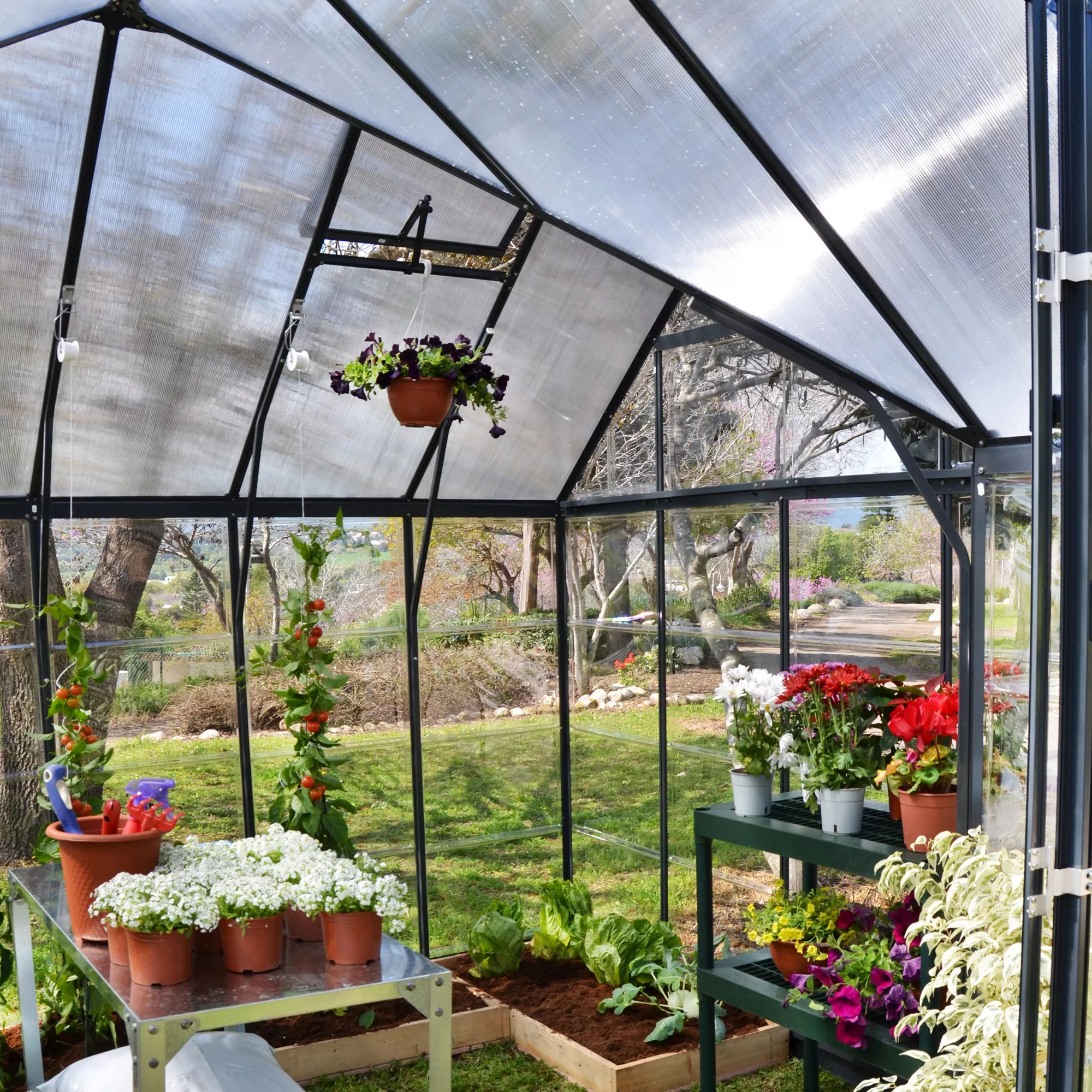 Palram - Canopia Victory Dark Grey 12x10 Greenhouse 5 Palram - Canopia Victory Dark Grey 12x10 Greenhouse - Image 5