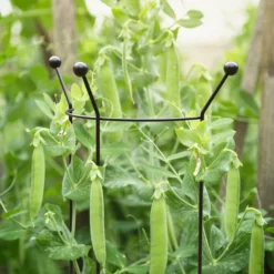 Bestway Garden Sales Store -Bestway Garden Sales Store panacea steel curved plant support frame l 147cm dia 37cm0093432825501 01i bq