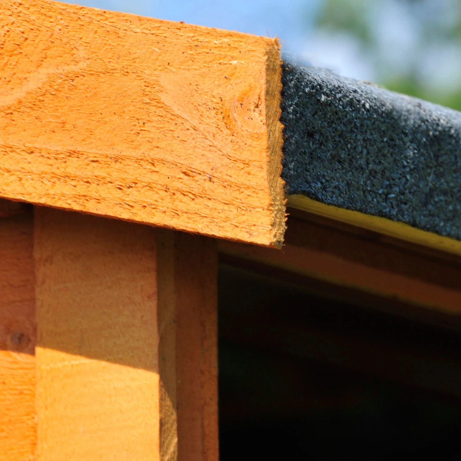 Shire Warwick 8x6 Ft Apex Shiplap Wooden Shed With Floor 3 Shire Warwick 8x6 Ft Apex Shiplap Wooden Shed With Floor - Image 3