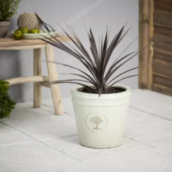 Verve Barcău Olive Ceramic Circular Plant Pot (Dia)32cm -Bestway Garden Sales Store verve barcau olive ceramic circular plant pot dia 32cm5059340327785 01i