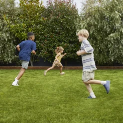 Verve Family & Sports Grass Seeds, 1.5kg 14 Verve Family & Sports Grass Seeds, 1.5kg -Bestway Garden Sales Store verve family sports grass seeds 1 5kg3663602947516 01i