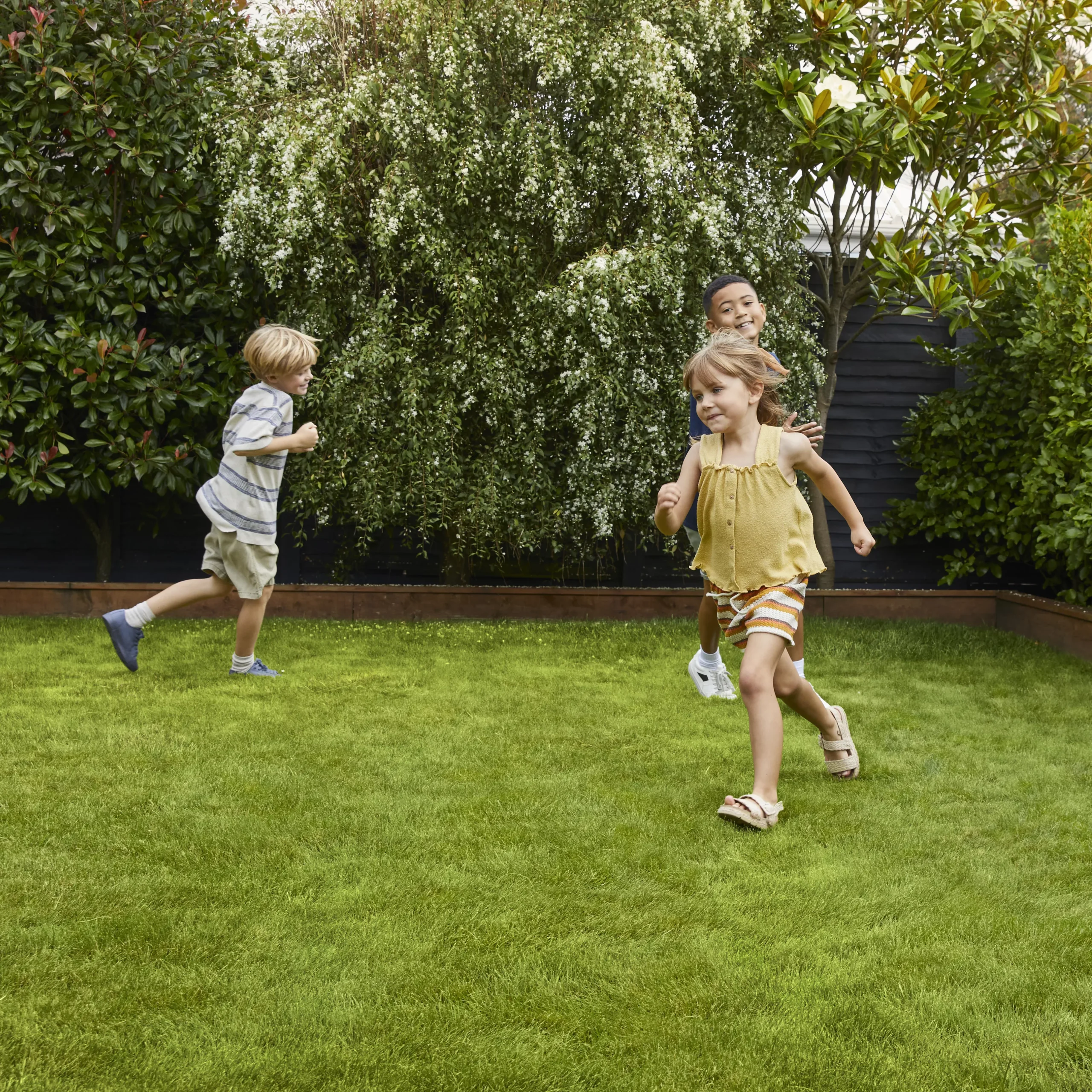 Verve Family & Sports Grass Seeds, 1.5kg 4 Verve Family & Sports Grass Seeds, 1.5kg - Image 4