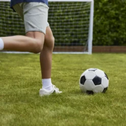 Verve Family & Sports Grass Seeds, 1.5kg 19 Verve Family & Sports Grass Seeds, 1.5kg -Bestway Garden Sales Store verve family sports grass seeds 1 5kg3663602947516 06i