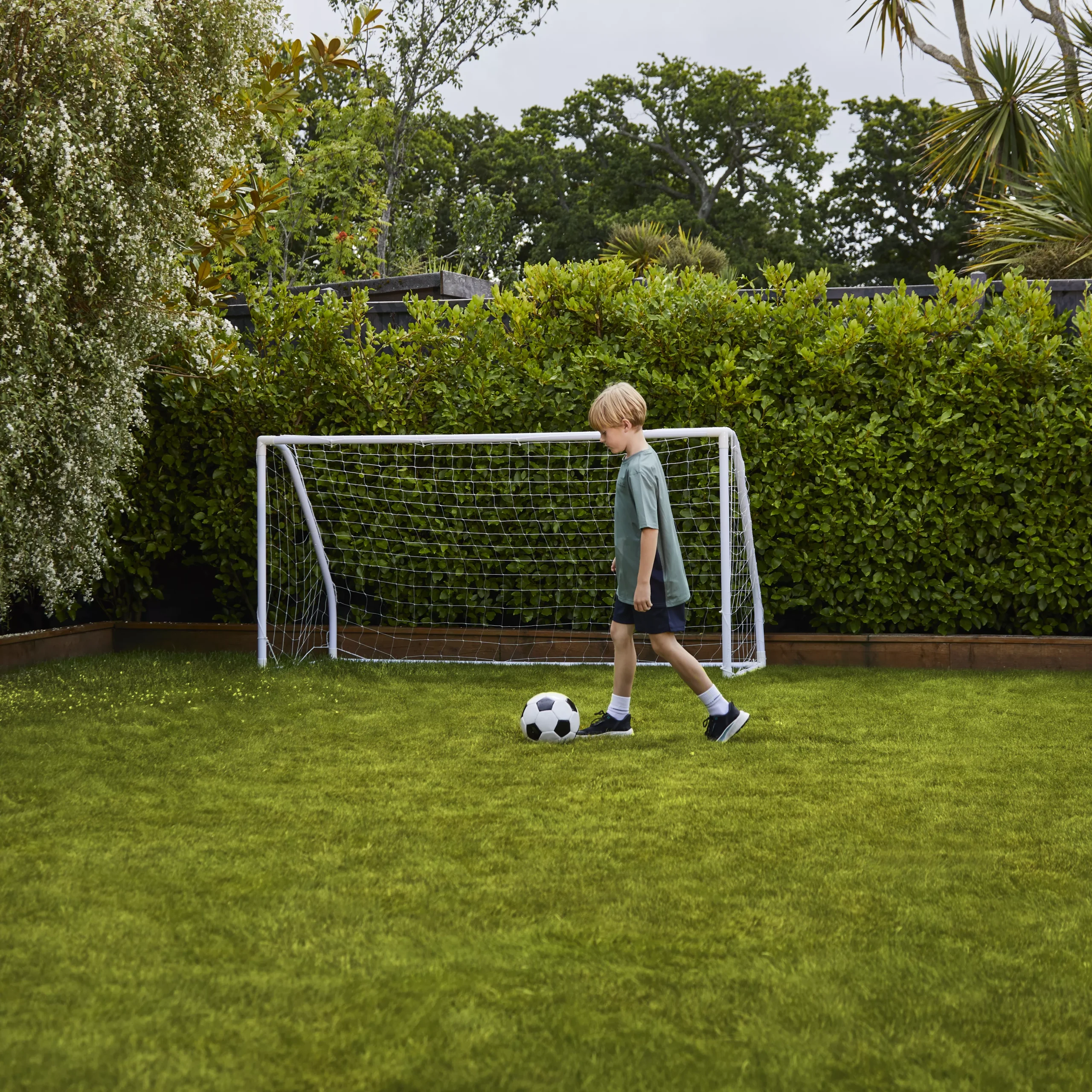 Verve Family & Sports Grass Seeds, 1.5kg 9 Verve Family & Sports Grass Seeds, 1.5kg - Image 9