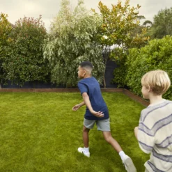 Verve Family & Sports Grass Seeds, 10kg -Bestway Garden Sales Store verve family sports grass seeds 10kg3663602947516 03i