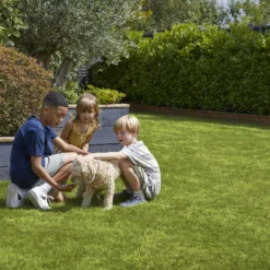 Verve Family & Sports Grass Seeds, 10kg -Bestway Garden Sales Store verve family sports grass seeds 10kg3663602947516 04i