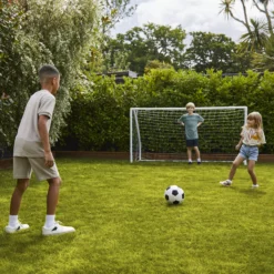 Verve Family & Sports Grass Seeds, 5kg -Bestway Garden Sales Store verve family sports grass seeds 5kg3663602947516 09i