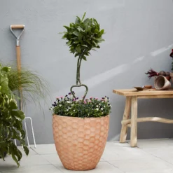 Verve Gudenå Natural Terracotta Honeycomb Circular Plant Pot (Dia)32cm -Bestway Garden Sales Store verve gudena natural terracotta honeycomb circular plant pot dia 32cm5059340327624 01i