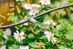 Verve Irrigation Kit 20 Pieces -Bestway Garden Sales Store verve irrigation kit 20 pieces5063022059888 02i