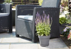 Verve Nurgul Peyote Rectangular Trough 7 Verve Nurgul Peyote Rectangular Trough -Bestway Garden Sales Store verve nurgul peyote rectangular trough5059340387949 22c