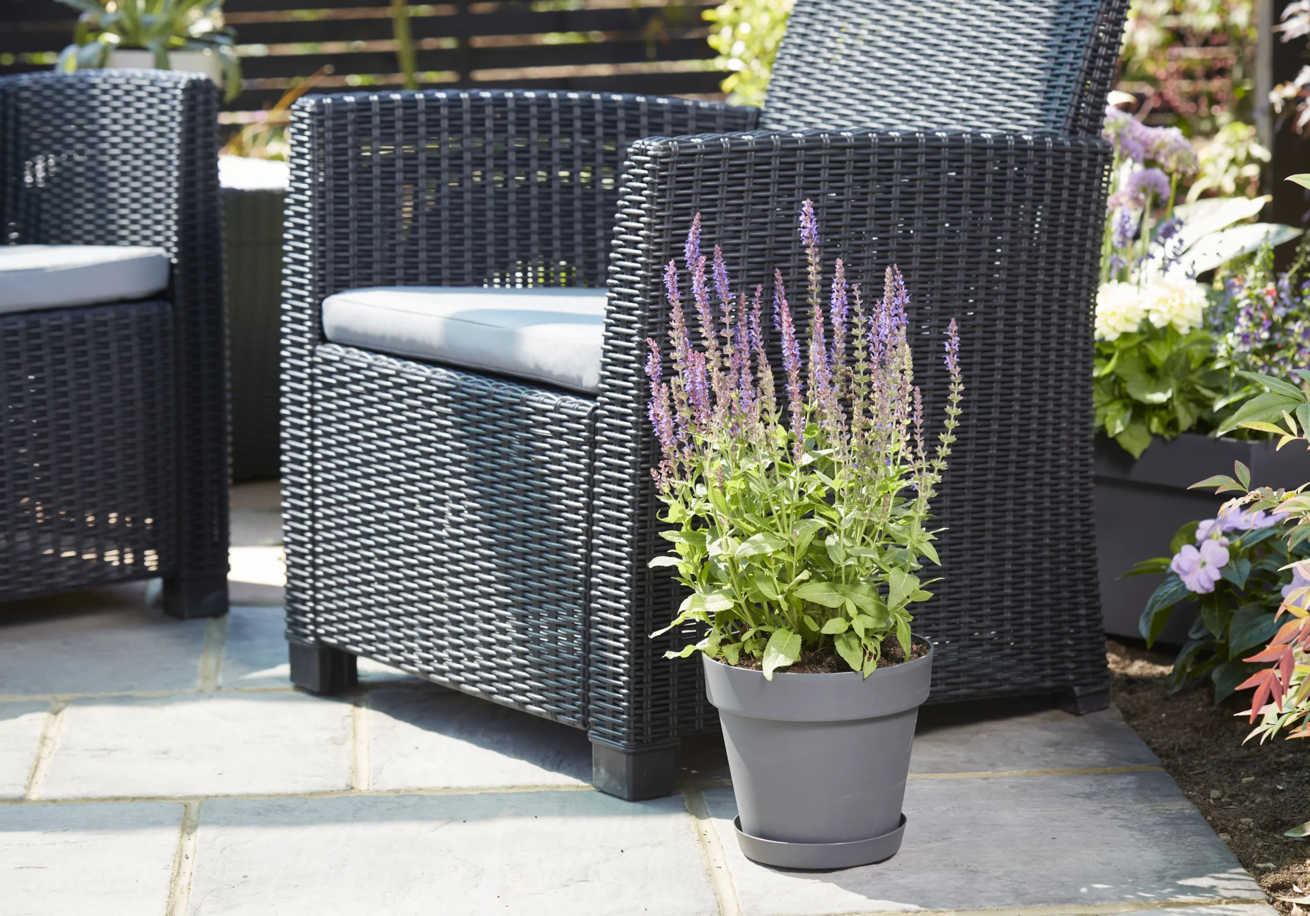 Verve Nurgul Peyote Rectangular Trough 4 Verve Nurgul Peyote Rectangular Trough - Image 4