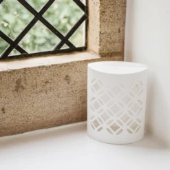 Westland Flying Insects Insect Trap -Bestway Garden Sales Store westland flying insects insect trap5023377013829 02i bq