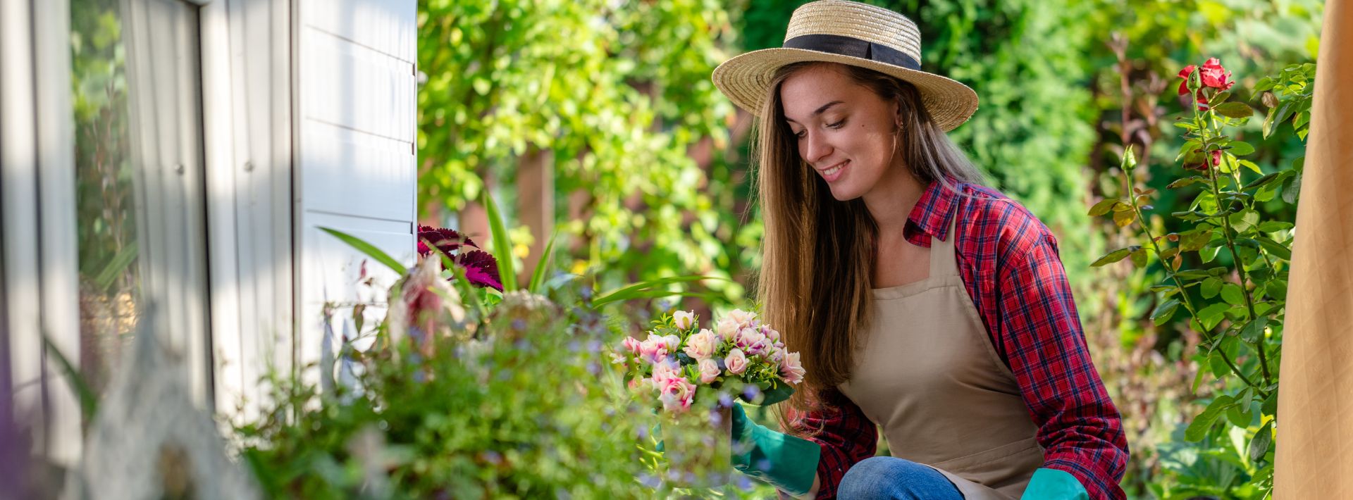 Bestway Garden Sales Store -Bestway Garden Sales Store FAQ Home Garden Desktop 1