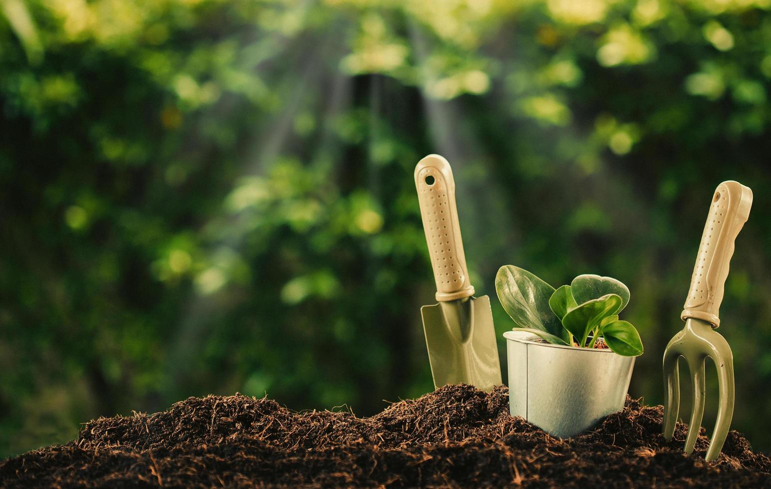 Bestway Garden Sales Store -Bestway Garden Sales Store planting a small plant on a pile of soil with gardening tools on green bokeh background free photo